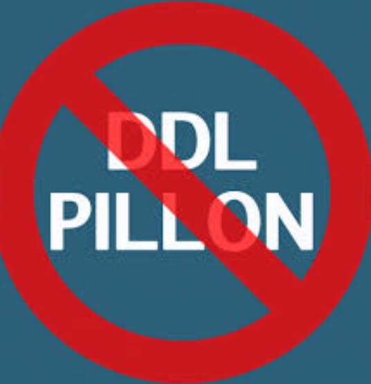 DDL PILLON